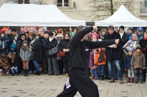 hunggarnancy-artsmartiaux-wushu-kungfu-nouvelanchinois-28janvier2017-26